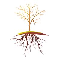 Tree With Root Isolated Retro Cartoon Illustration vector