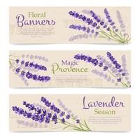 Horizontal Banners Of Lavender Flowers