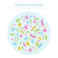 Bacteria concept illustration