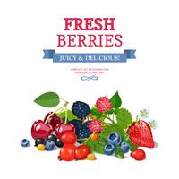 Fresh Berries Background Ad Background Poster 