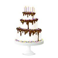 Ilustración de pastel de cumpleaños vector