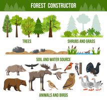 Forest Constructor Poster vector