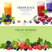 Fresh Berries 2 Flat Banners Set  vector