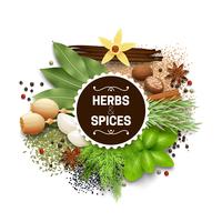 Illustration Of Set With Herbs And Spices vector