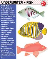 Fish, Fish Species - Underwater Life, eps vector