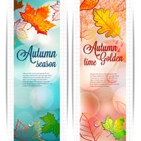 Abstract background of autumn leaves on blurred background with bokeh elements. vector