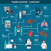 Transplantation Flowchart Layout  vector