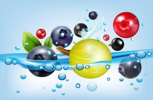 Poster with berries and water vector