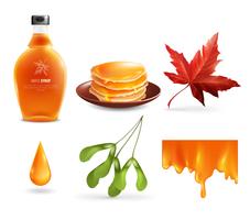 Maple Syrup Set vector