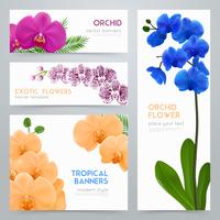 florecientes orquídeas conjunto de banners realistas vector