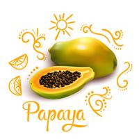 Doodles alrededor de la composición de la papaya vector