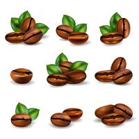 Coffee Beans Realistic Set vector