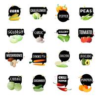 Vegetables With Labels Set vector
