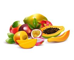 Fruity Tropical Bunch Composition vector