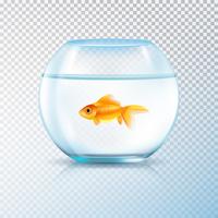 Golden Fish Bowl Realistic Transparent  vector