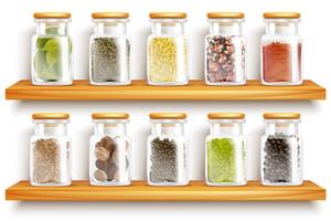 Herbs Spices Set Composition vector