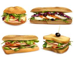 Sándwiches de ingredientes frescos saludables conjunto realista vector