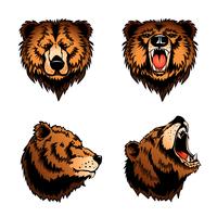 Cabezas de oso de color aislado vector