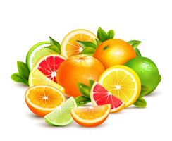 Citrus Fruits Collection Realistic Composition 