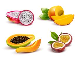 Tropical Fruits Realistic Set vector