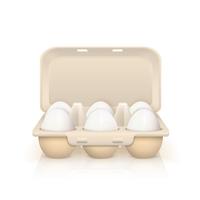 Eggs In Box Illustration vector