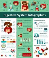 Infografía plana del sistema digestivo vector