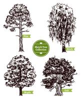 Sketch Tree Set vector