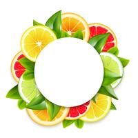 Citrus Fruits Slices Arrangement Round Frame  vector