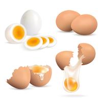 Eggs Realistic Set vector