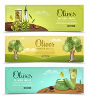 Olive  Banners Set vector