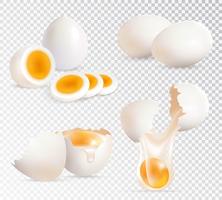 Huevos Set Realista vector