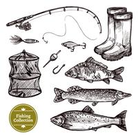 Conjunto de dibujo de pesca vector