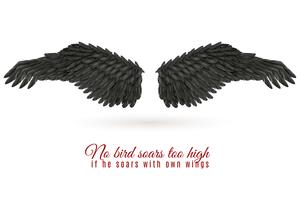 Dark Bird Wing Background vector