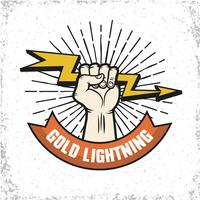 Logo de Lightning Emblema vector