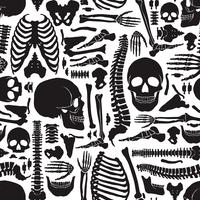 Patrón de esqueleto de huesos humanos vector