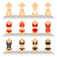 Types of women's swimwear. Illustration of a one-piece and a two-piece  swimsuits with a name and an example of a back and front view. 8382838  Vector Art at Vecteezy