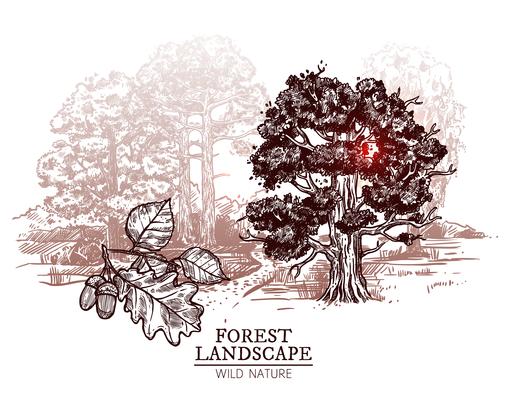 Sketch Tree Landscape Illustration