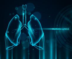 Human Lungs Background vector