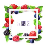 Berries And Frame Realistic Set vector