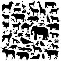Animals Suilhouette Big Set vector