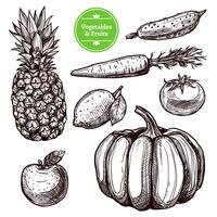 Conjunto De Verduras Y Frutas vector