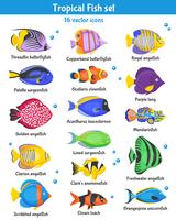 Conjunto de iconos de peces tropicales vector