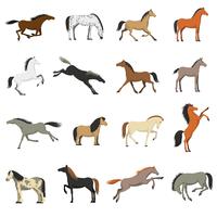 Best Horse Breeds Pictures Icons Set  vector