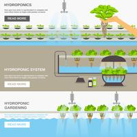 Ilustración del sistema hidropónico vector