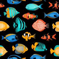 Tropical Fish Seamless Pattern  vector