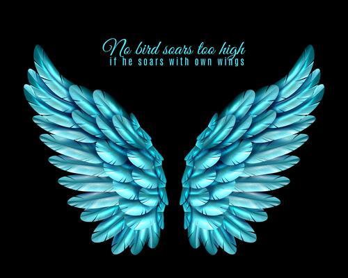 Color Bird Wing Background