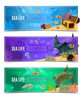 Sea Life Banner Set vector