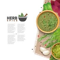 Herbs Spices Food Seasoning Information POster vector