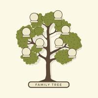 Family tree genealogy branches template Royalty Free Vector