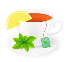 porcelain cup of tea with lemon and mint vector illustration